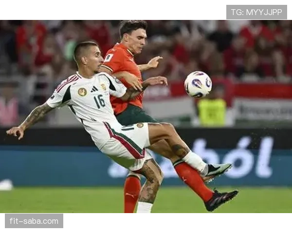 帕利尼亚在葡萄牙国家队主力后腰地位解析