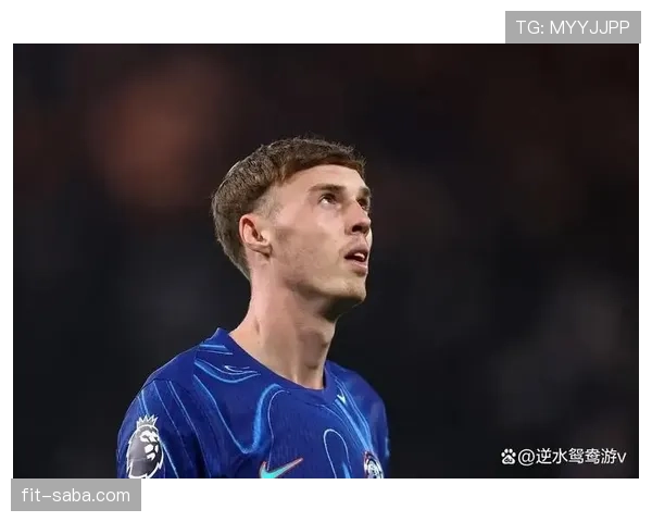 帕尔默为何尚未跻身顶级球星？数据效率、战术适配与大赛稳定性深度解析