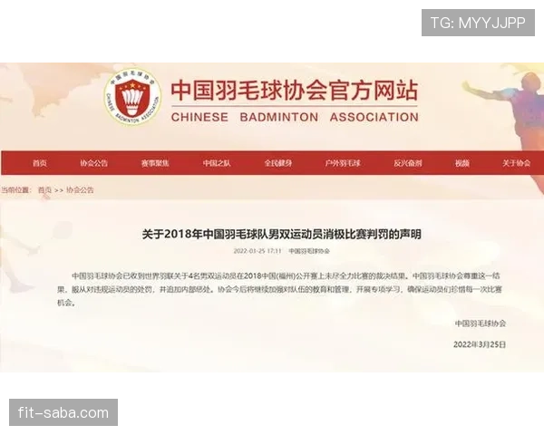 禁赛规则详解：球员停赛判罚条件与执行标准解析